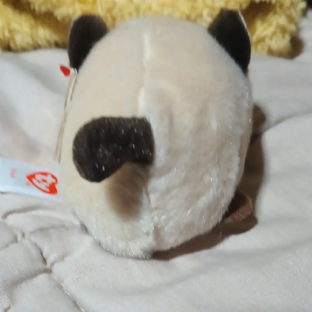Ty - Plush Siamese Cat Toy - White and Brown- Teeny Tys